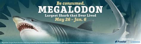 Megalodon (website) .